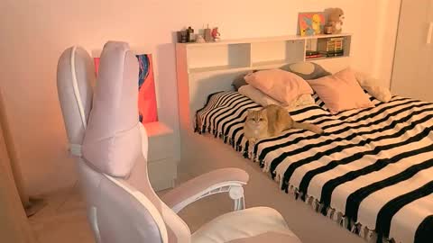 Snapshot of _loveliness_ chatting on November 2025 02:50:01 PM Amanda mandy online show from November 2025 02:50:01 PM