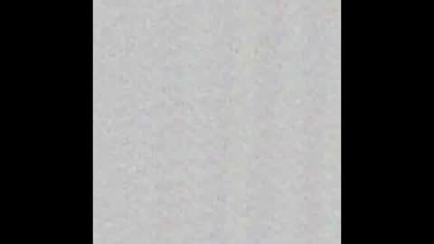 _maccaa_ online show from November 2025 12:05:02 PM