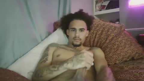 Mixedbreed online show from December 2024 11:57:02 PM