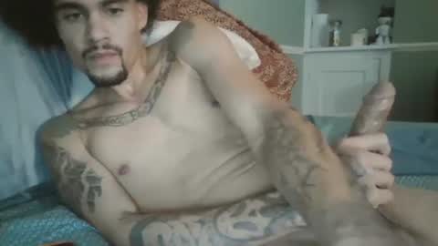 Mixedbreed online show from December 2024 10:44:02 PM