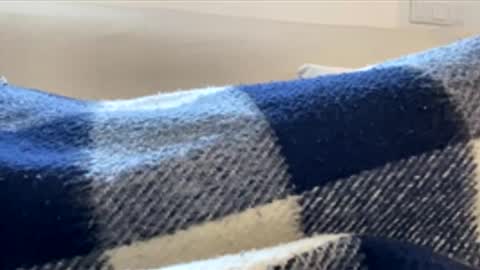 _muestroverga online show from March 2026 07:03:02 AM