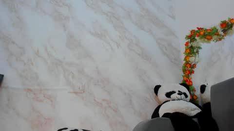 Snapshot of _nanny_1 chatting on January 2025 11:13:02 PM Nanny online show from January 2025 11:13:02 PM