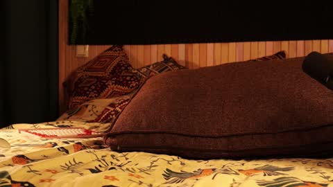 Lady Jess from house of Dragonborns online show from January 2025 03:10:01 PM