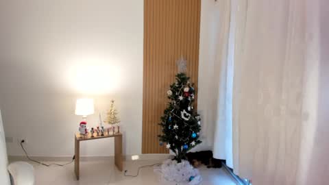 Snapshot of _samsexy_ chatting on December 2024 09:08:02 PM Sam --- next stream 1 dic food and vino show . online show from December 2024 09:08:02 PM