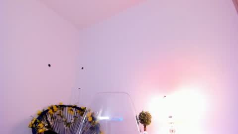 Snapshot of _samsexy_ chatting on February 2025 08:10:01 PM Sam --- next stream 1 dic food and vino show . online show from February 2025 08:10:01 PM