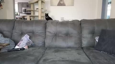 SophiaGraceKnight online show from November 2025 05:13:01 PM