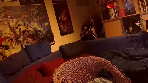 Sven online show from November 2025 10:31:02 PM