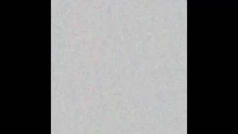    online show from October 2025 12:14:02 PM