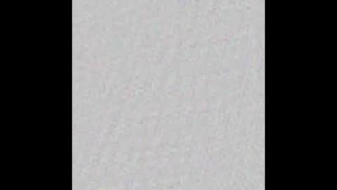 _tammarra_ online show from February 2025 12:03:02 PM