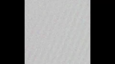 _tammarra_ online show from November 2025 09:08:01 PM