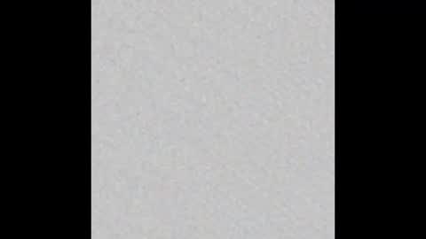 _tammarra_ online show from February 2026 04:03:02 PM