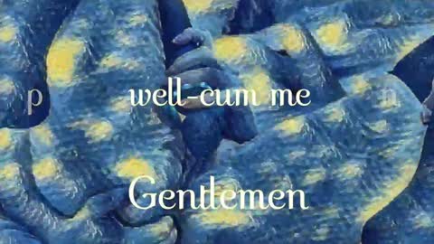 Evi online show from December 2024 10:41:02 PM