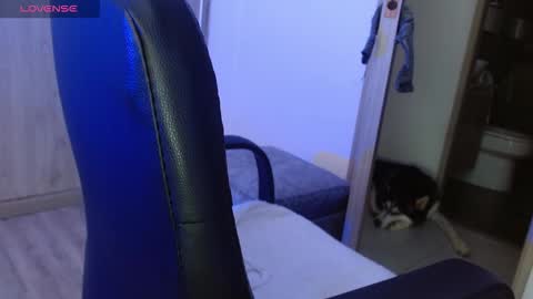 Snapshot of _tinyrousse_ chatting on February 2026 04:26:01 PM Rousse online show from February 2026 04:26:01 PM