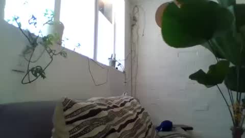 Snapshot of _tutti_frutti_ chatting on February 2025 09:18:02 PM _tutti_frutti_ online show from February 2025 09:18:02 PM