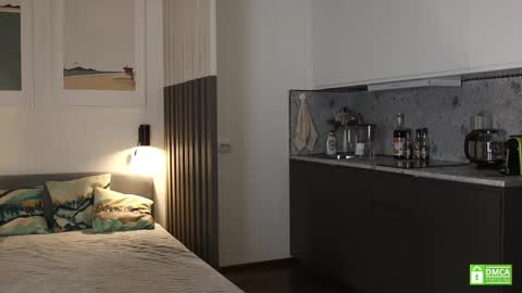 Snapshot of _whoareu_ chatting on December 2025 11:52:01 AM Kristina online show from December 2025 11:52:01 AM