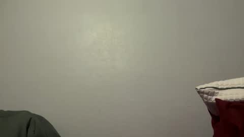 Snapshot of a_veritable_storm_of_dong chatting on December 2024 08:33:02 AM a_veritable_storm_of_dong online show from December 2024 08:33:02 AM