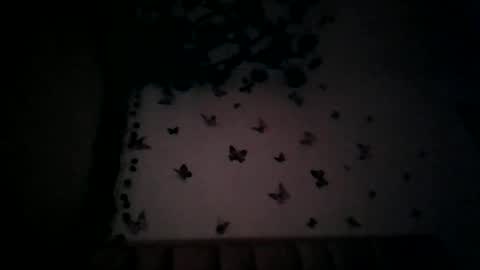abby_moss_2 online show from July 2026 12:45:02 PM
