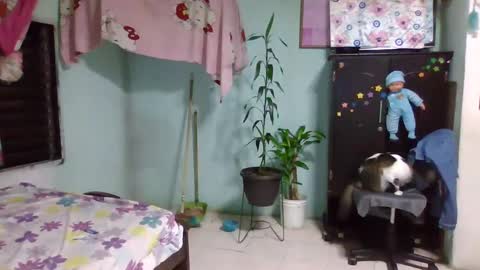 Snapshot of abbyasher chatting on February 2025 12:36:02 AM Abby online show from February 2025 12:36:02 AM