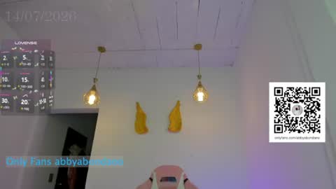Snapshot of abbyfinet chatting on July 2026 12:00:02 PM A B B Y online show from July 2026 12:00:02 PM
