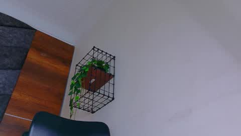 A B B Y online show from January 2026 11:34:01 AM