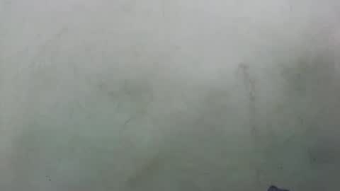 Snapshot of abella677022 chatting on February 2026 08:16:01 PM abella677022 online show from February 2026 08:16:01 PM