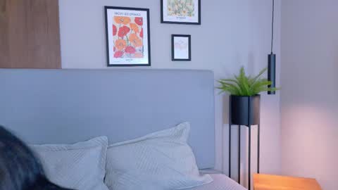 abiehils online show from March 2026 11:49:01 AM