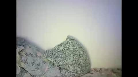 Snapshot of abigailove4u chatting on February 2025 11:46:01 PM GoldenFish online show from February 2025 11:46:01 PM