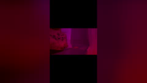 abigrace online show from April 2026 12:27:01 AM