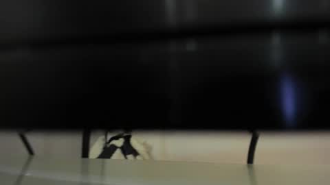 Snapshot of abril_777 chatting on February 2026 07:56:01 PM Abril 777 online show from February 2026 07:56:01 PM