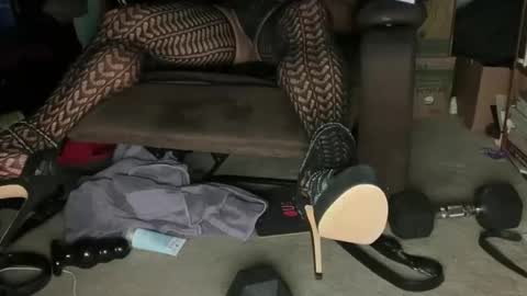 aCACiAs2022 online show from February 2026 12:49:01 AM