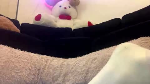 ENIGMA TZX5114 online show from February 2025 12:28:01 PM