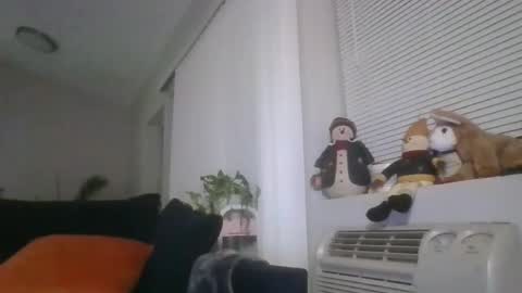 Snapshot of adamishere1 chatting on March 2026 01:07:02 AM Britishadam online show from March 2026 01:07:02 AM