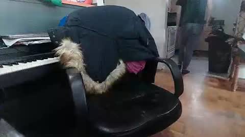 Snapshot of adamk3 chatting on February 2026 09:22:02 PM Adam and Logan online show from February 2026 09:22:02 PM