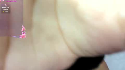 Snapshot of adams_niki chatting on November 2025 12:39:02 PM ADAMS Y NIKI online show from November 2025 12:39:02 PM