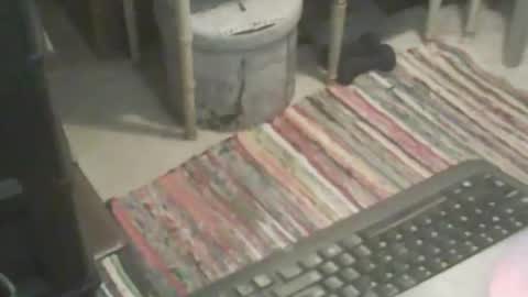 Snapshot of adamsny chatting on November 2025 06:55:01 AM adamsny online show from November 2025 06:55:01 AM