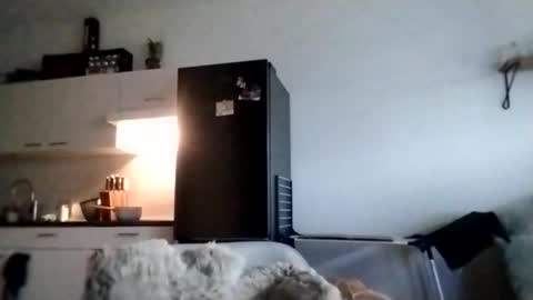 I love a little angel online show from November 2025 10:18:01 AM