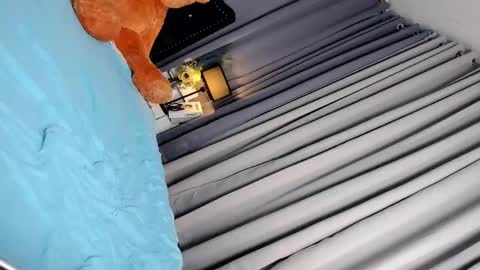 Adriana online show from March 2025 10:57:01 AM