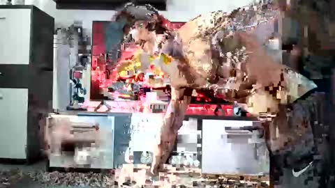 Adriano online show from December 2024 08:58:02 AM