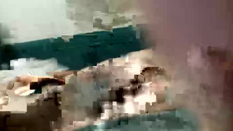 Snapshot of adrodiarellano chatting on October 2025 02:22:02 AM adrodiarellano online show from October 2025 02:22:02 AM