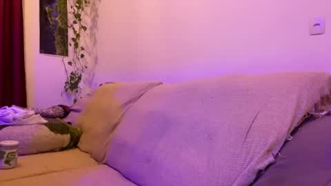 Luci online show from July 2026 02:06:02 AM
