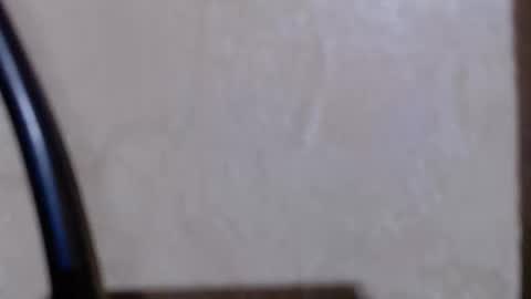 aeonian4 online show from December 2025 11:23:02 PM