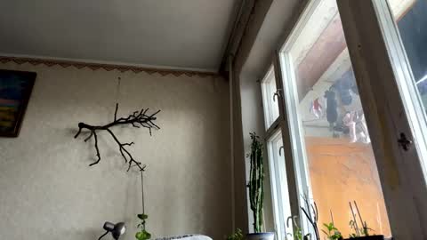 Snapshot of aevra chatting on October 2025 06:14:01 AM vegans taste better online show from October 2025 06:14:01 AM