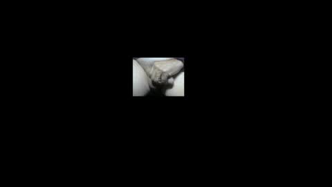 NE Ohio BiGuy online show from February 2026 02:27:01 AM