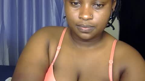 stella online show from February 2026 04:20:01 AM