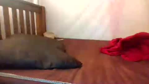 Snapshot of african_princess27 chatting on July 2026 05:43:02 AM i wish to be someones real princess online show from July 2026 05:43:02 AM