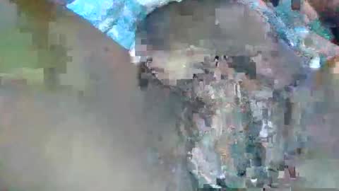 africanpotato online show from October 2025 05:41:01 AM