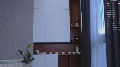 agnessi_ online show from January 2025 06:33:01 AM