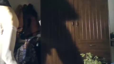 Snapshot of aguahot2 chatting on November 2025 11:04:02 PM agua online show from November 2025 11:04:02 PM