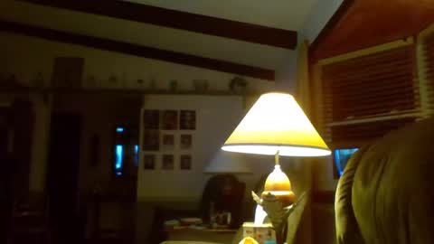 Snapshot of aguynrkfrd chatting on January 2025 11:41:02 AM aguynrkfrd online show from January 2025 11:41:02 AM