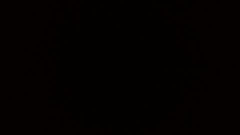 Blue Eyed Handsome Man online show from February 2026 03:34:02 PM